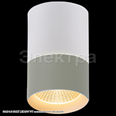 30410-9.5-001RT LED10W WT