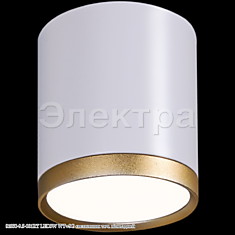 81050-9.5-001RT LED5W WT+SG