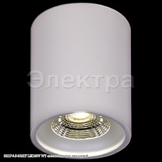 81117-9.5-001RT LED10W WT 